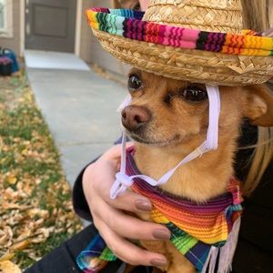 Meet your Posher, Scott